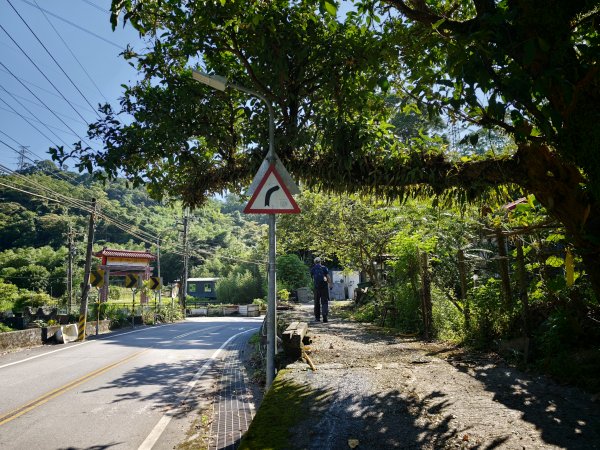 [淡蘭古道] 2026_0614 南路第二段_倒照湖山步道3096901