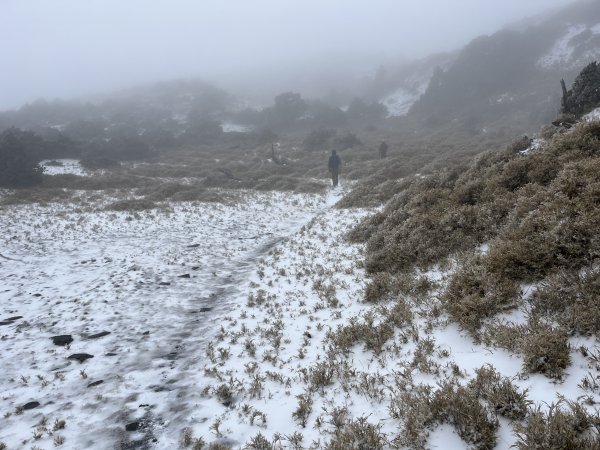 八大秀雪攀初體驗，銀白色中央山脈2413101