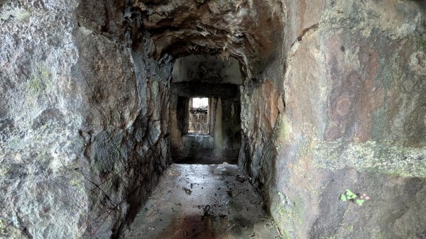 114.12.20劉銘傳隧道-獅球嶺北峰-獅球嶺東砲台山-獅球嶺池-獅球嶺砲台山之旅2966748