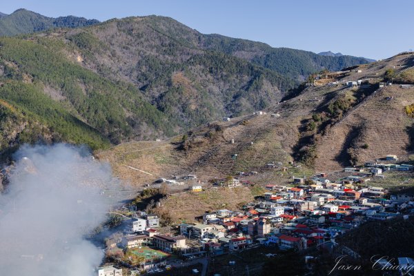 福壽山千櫻園櫻花季初開2717413