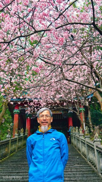 內湖碧山巖 2/182714785