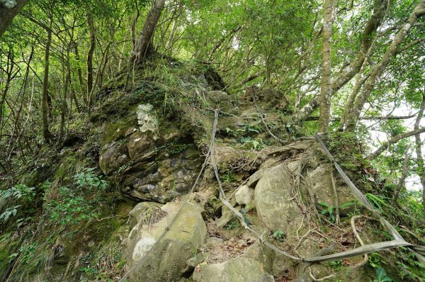新北 烏來 烏來山、大桶山、四崁水山2829240