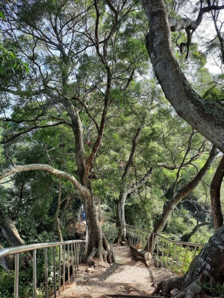 《彰化》田中森林登山步道O型202011221179709