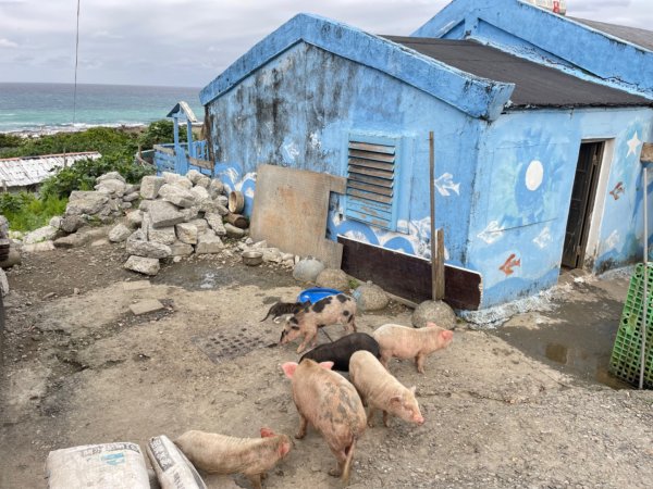 蘭嶼三天三夜-紅頭山小百岳完百小旅行2752628