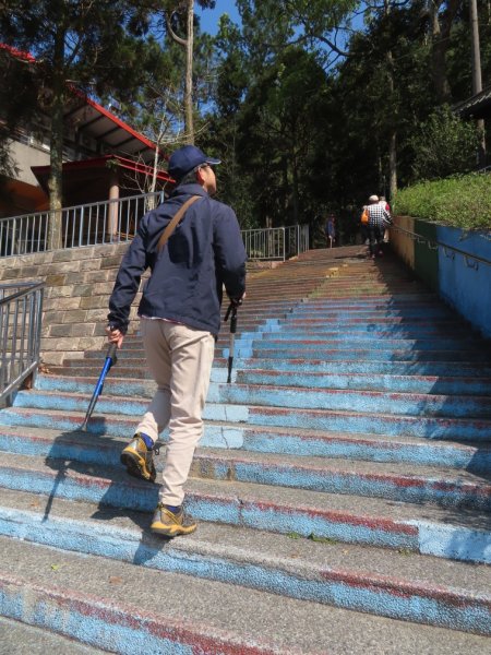 仙山登山步道O形走+小百岳No.33仙山2715823