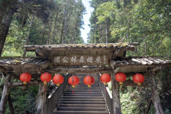 太平山避暑2829149