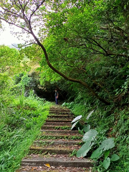 《山路迢遙的新北市雙溪區貂山古道、瑞芳區百二崁步道、金瓜石地質公園、黑肉坪、石尾路步道、黃金博物館》1452404