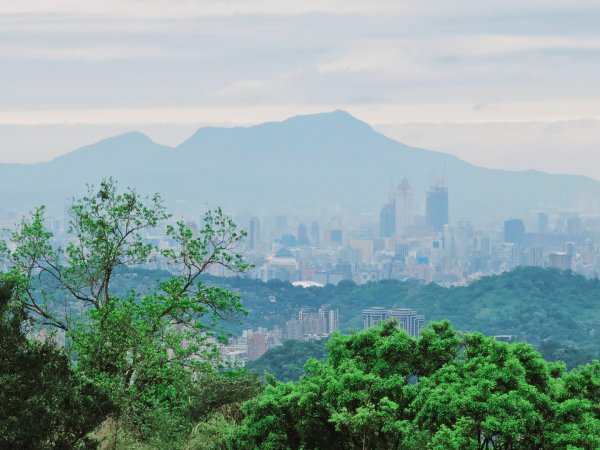 2026年臺北大縱走第七段：世界山莊至飛龍步道政大後山3032041