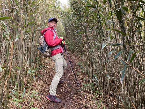 小觀音山群峰【當登山遇到惰性來襲時…】2686395