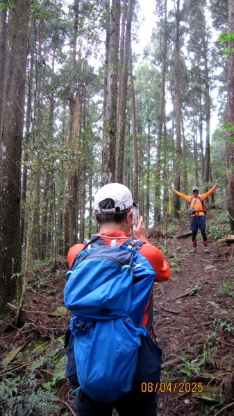 【油羅山/露營】 仙境舒活健走，雲端徜徉野趣！2887918