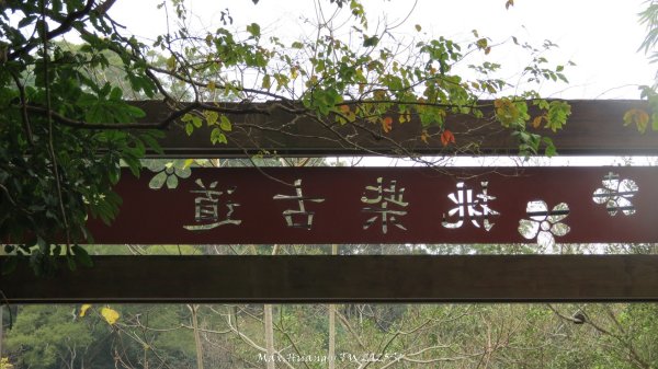 《苗栗》台鐵舊山線｜三義勝興鐵道覓境及挑柴古道O繞202501192693606