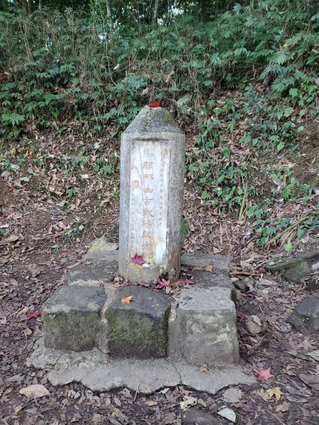 【苗粟 | 馬拉邦山】1227236