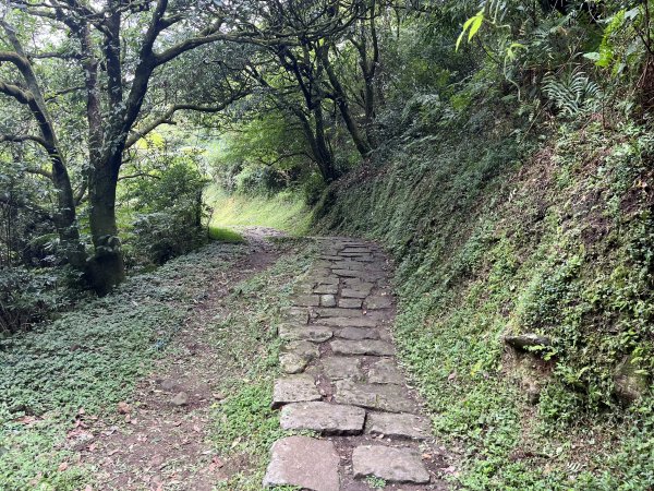 [走遍陽明山]2023_0723 冷擎步道2317509