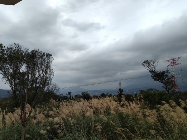 【小百岳14】土庫岳完成-71234855