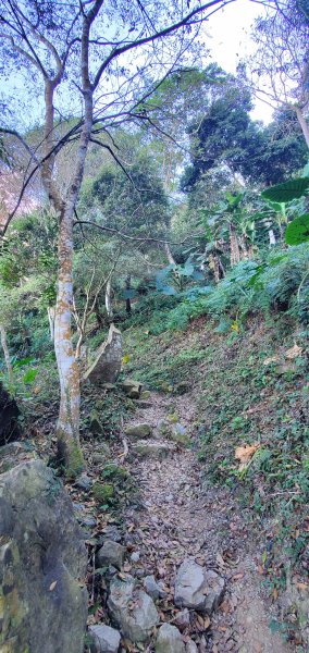 2023-12-02梅峰古道、獵鷹尖一線天步道、伍龍步道環行一圈2367078