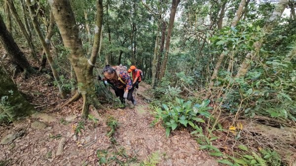烏桶縱走(烏來山→大桶山)忠治出全紀錄2915220