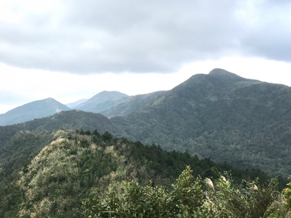 有咖啡香的太和山走坪溪古道487768