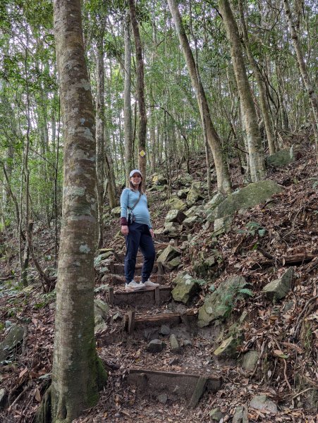 孕婦第二次的谷關七雄屋我尾山+橫嶺山3106900