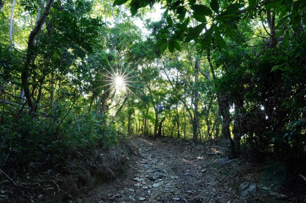 宜蘭 南澳 澳花山2881275