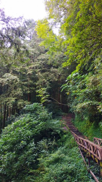 山林美境尋寶石特富野古道202009031090805