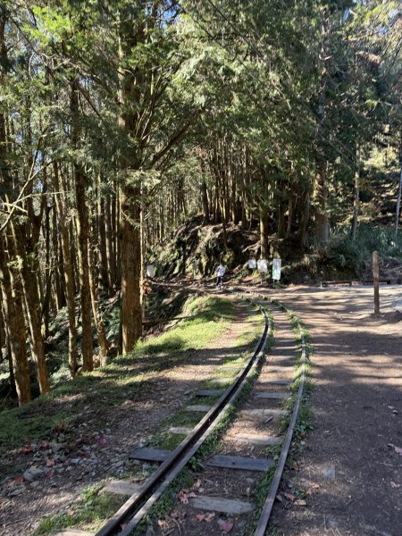 1141215大塔山步道2996144