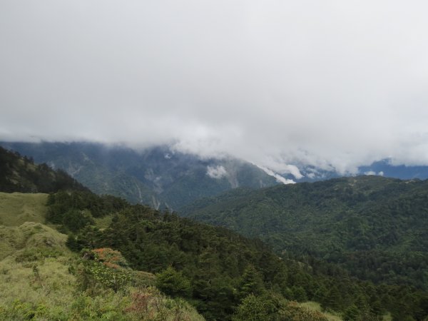 合歡山東峰-尖山-小奇萊-石門山2513122