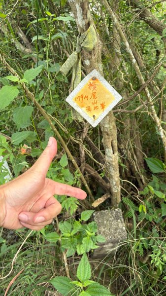 941（旗尾山2905652