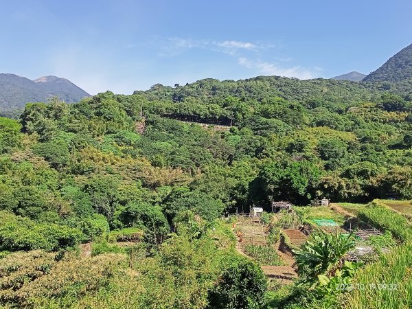 半嶺步道、松溪瀑布、橫嶺古道、湖山綠地【發現陽明山、走路趣尋寶、健康大穀東】2321351