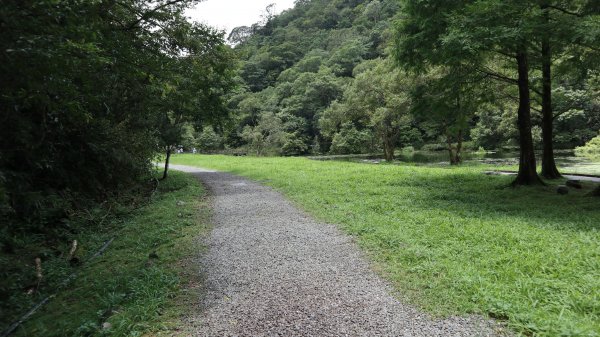 福山植物園登山健行趣(步道)2269414