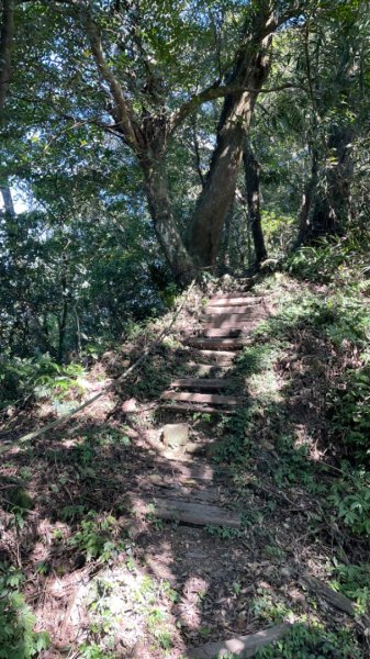 十份棟古道出雲端2688960