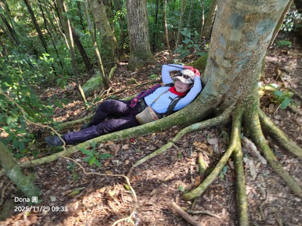 逆走逐鹿卡保環型路線全段全紀錄2949849