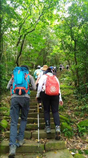 草嶺古道接桃源谷967917