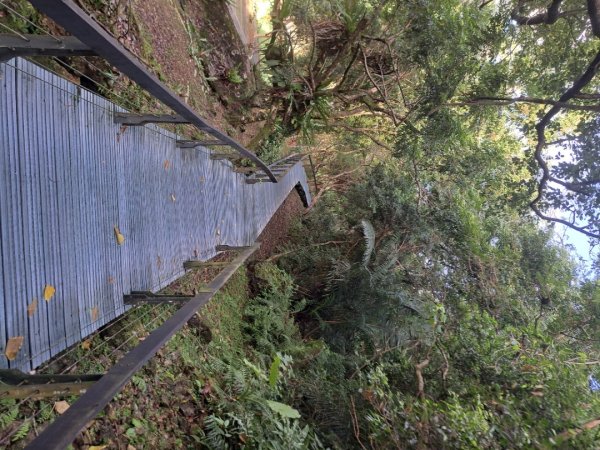 小百岳集起來立霧山登山步道，初音山步道3113457