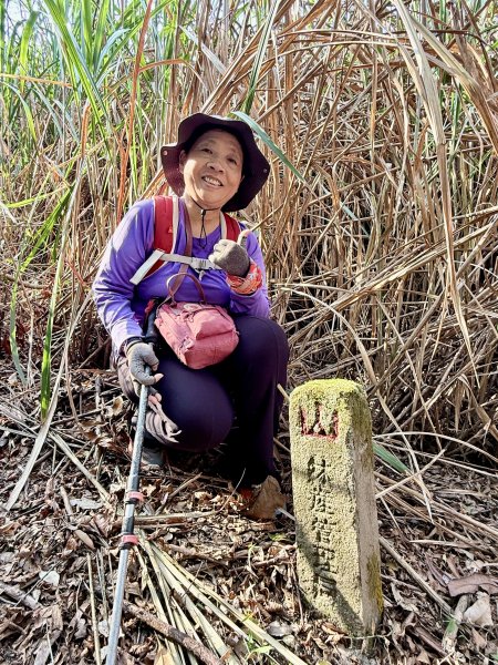 完登新南橫三星-馬馬宇頓山   2026.3.273027528