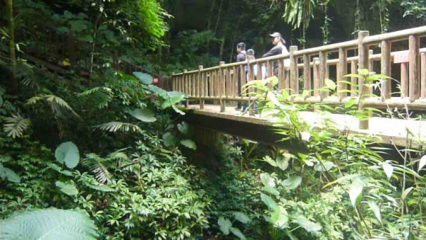 獅頭山風景區：藤坪、水濂橋、水濂洞步道1143193