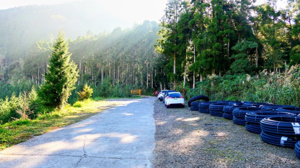 油羅山(一上三下)2959117