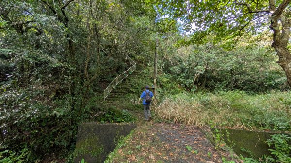 114.11.09草嶺古道芒花季之旅2932934