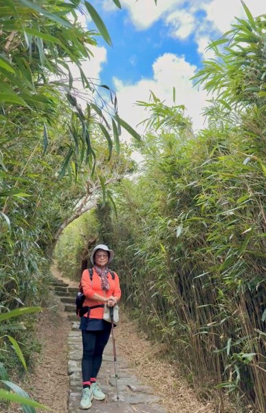 大屯山(小百岳# 001) &小油坑山2898876