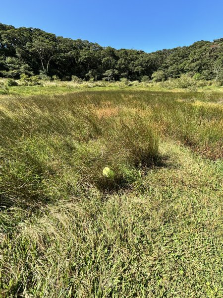 面天山、向天山、向天池2921040