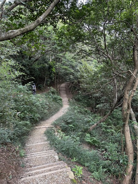 醉翁之意不在酒的【五酒桶山步道】輕鬆走～1900624