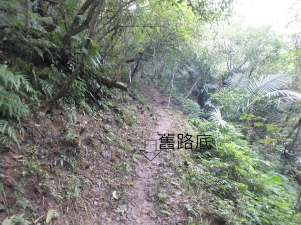 百二階古道+苕谷瀑布+逸仙山+泰和樓2734428