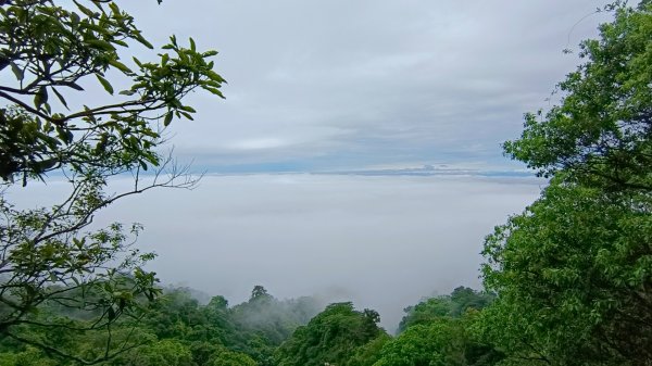 大坑頭嵙山出大景（山嵐海）2144652