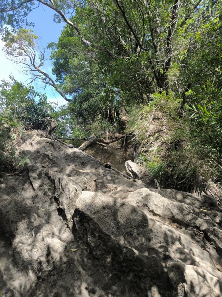 20251018微笑山線：【二格山系】皇帝殿稜線段2918643