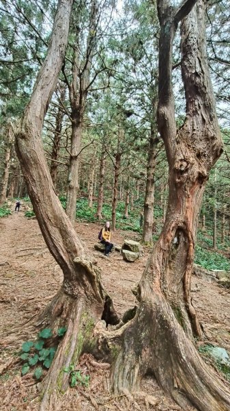 肥大醜三崠連走，鳶嘴西陵上鳶嘴山2650325