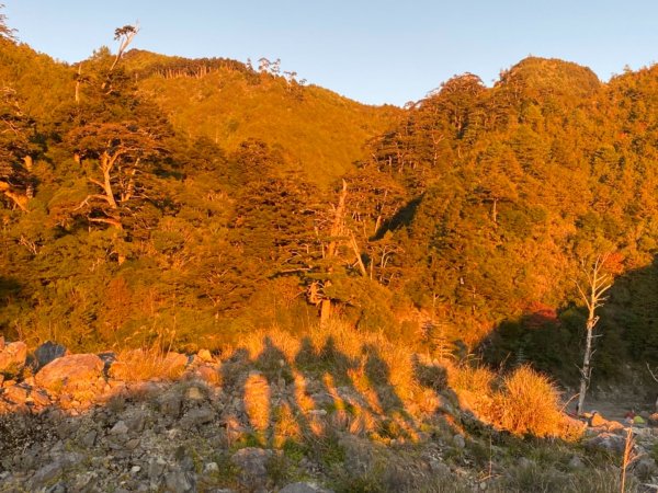 小關山林道上小關山1550020