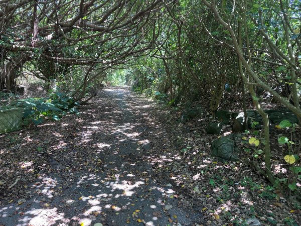 老梅綠石槽2775045