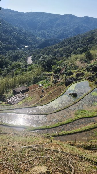 2025-0130溪和宮-大崎頭步道-鵝尾山-平溪步道-鵝尾山水田-42巷-溪山百年古圳-平菁步道2701843