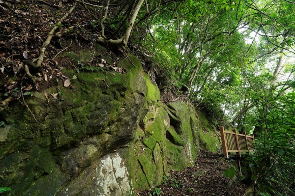 苗栗 大湖 金童山、玉女山、汶水山2806910