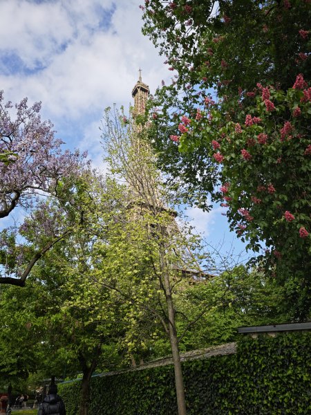 2025_0423 倫敦馬拉松順遊西歐 D5b(法國巴黎-艾菲爾鐵塔)2787131