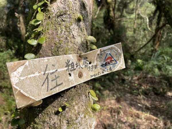 小格頭越嶺坪林2738367